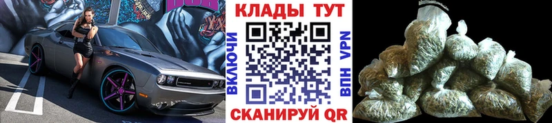 Сколько стоит Шенкурск Cocaine  Мефедрон  Alpha-PVP  Канабис  ГАШ 