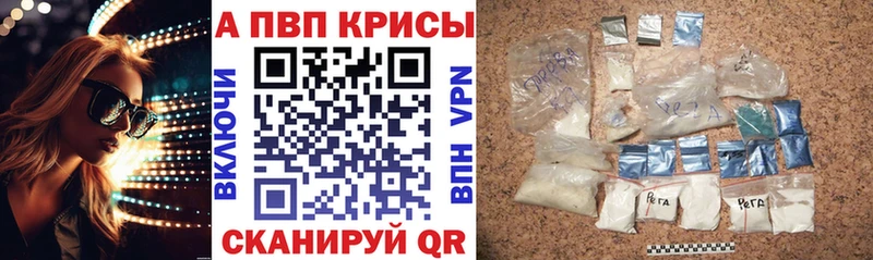 что такое   Шенкурск  Alfa_PVP СК 