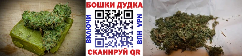 закладки  Шенкурск  Canna-Cookies марихуана 